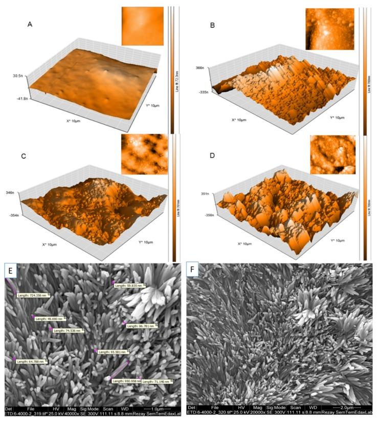 https://cdn.ncbi.nlm.nih.gov/pmc/blobs/52fd/7221996/a9b82d3a68fa/nanomaterials-10-00668-g002.jpg
