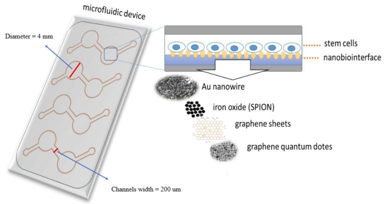 https://cdn.ncbi.nlm.nih.gov/pmc/blobs/52fd/7221996/f3df1cd18d4a/nanomaterials-10-00668-g001.jpg