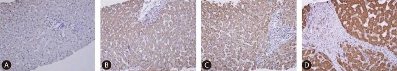 https://cdn.ncbi.nlm.nih.gov/pmc/blobs/52fe/3467432/8e30d44abda2/cmh-18-287-g002.jpg