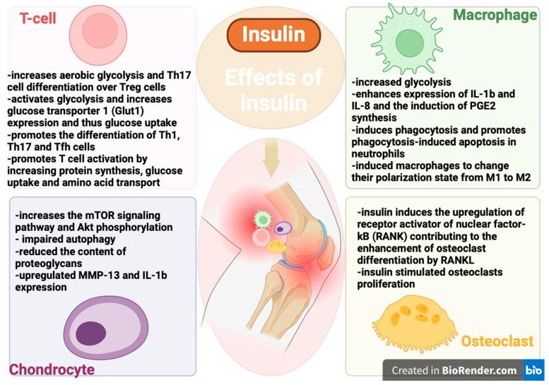 https://cdn.ncbi.nlm.nih.gov/pmc/blobs/5303/11351146/2738e2212166/biomedicines-12-01630-g001.jpg