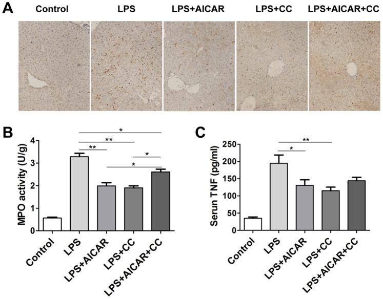https://cdn.ncbi.nlm.nih.gov/pmc/blobs/5305/3901729/b657f38836e1/pone.0086881.g005.jpg