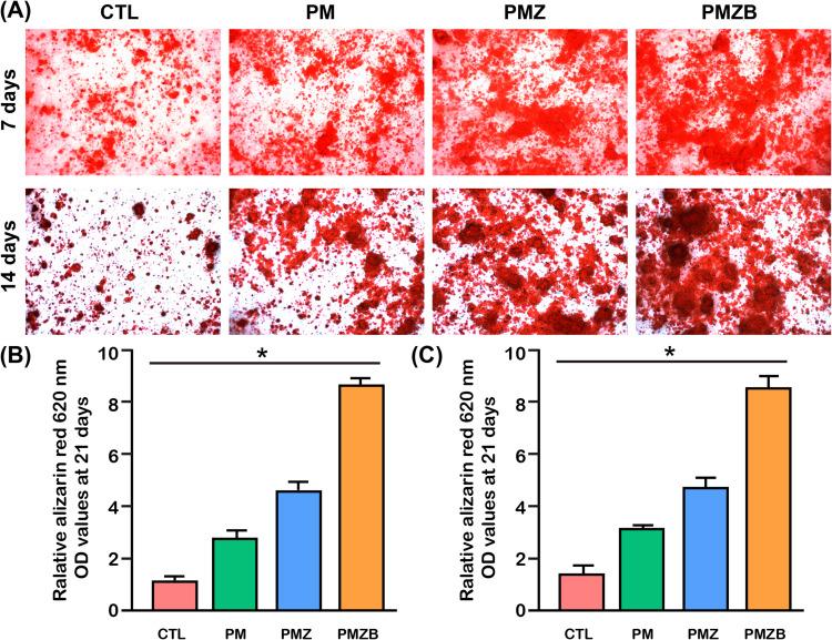 https://cdn.ncbi.nlm.nih.gov/pmc/blobs/530a/10493152/f0927181c796/IJN-18-5055-g0007.jpg