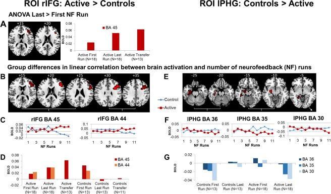 https://cdn.ncbi.nlm.nih.gov/pmc/blobs/530a/6866759/d469d0482057/HBM-38-3190-g002.jpg