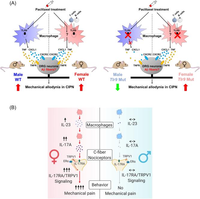 https://cdn.ncbi.nlm.nih.gov/pmc/blobs/530d/10811354/a86ce2d93fcd/j_mr-2023-0034_fig_006.jpg