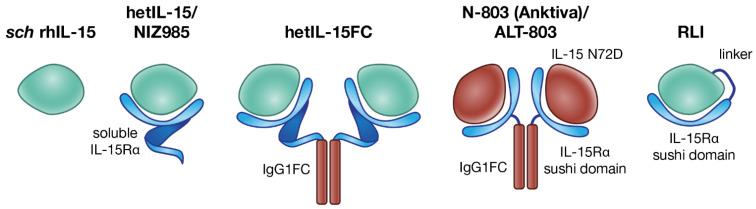 https://cdn.ncbi.nlm.nih.gov/pmc/blobs/530e/7922495/cd50d17e6089/cancers-13-00837-g002.jpg