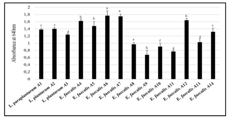 https://cdn.ncbi.nlm.nih.gov/pmc/blobs/530f/6958562/7964ecff0adf/microorganisms-07-00709-g005.jpg