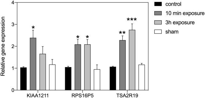 https://cdn.ncbi.nlm.nih.gov/pmc/blobs/530f/7714230/c64bde73e0e4/pone.0243038.g001.jpg