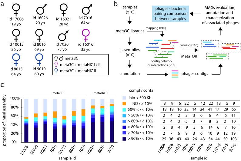 https://cdn.ncbi.nlm.nih.gov/pmc/blobs/5310/7963479/6764d6df0ae5/elife-60608-fig1.jpg