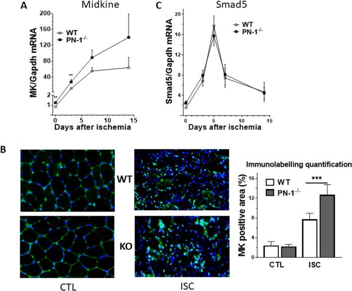 https://cdn.ncbi.nlm.nih.gov/pmc/blobs/5313/8238971/0957dd3b42c7/41598_2021_92794_Fig5_HTML.jpg