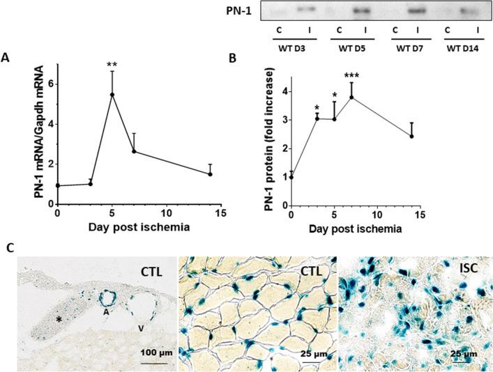 https://cdn.ncbi.nlm.nih.gov/pmc/blobs/5313/8238971/e661567645c5/41598_2021_92794_Fig1_HTML.jpg