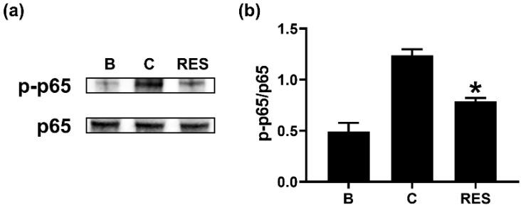 https://cdn.ncbi.nlm.nih.gov/pmc/blobs/5314/8928961/34d272826bac/cimb-44-00037-g006.jpg