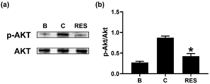 https://cdn.ncbi.nlm.nih.gov/pmc/blobs/5314/8928961/564ece6c32a5/cimb-44-00037-g005.jpg