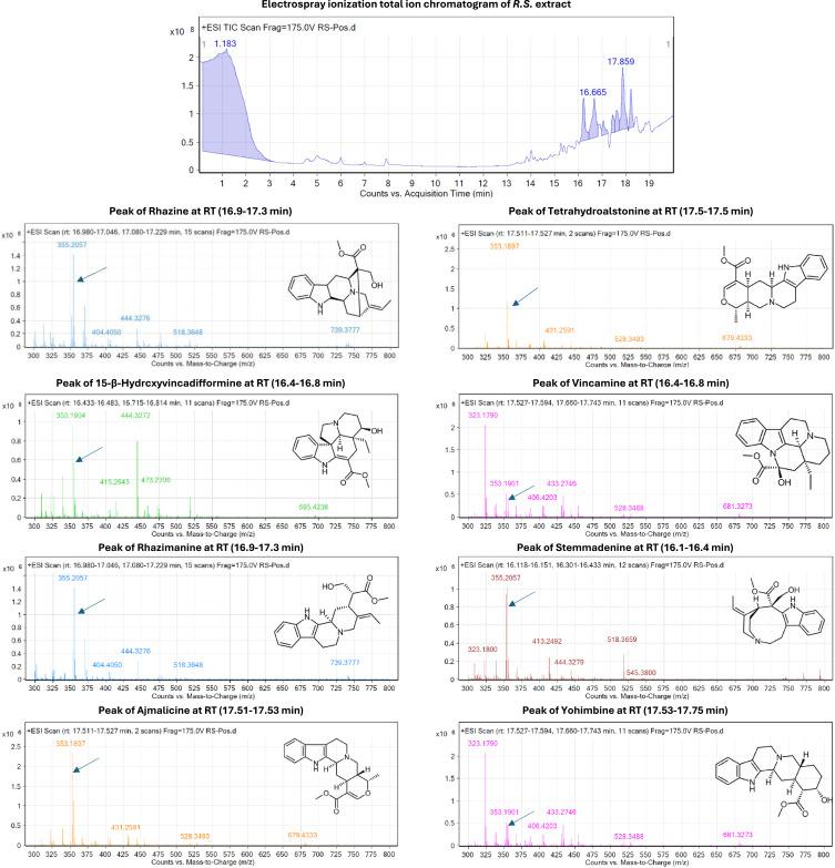 https://cdn.ncbi.nlm.nih.gov/pmc/blobs/5316/12374718/a7430552bac6/IJN-20-10043-g0011.jpg