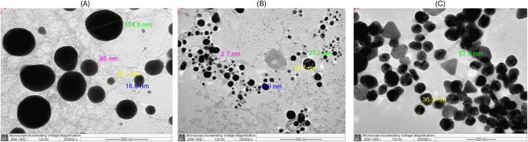 https://cdn.ncbi.nlm.nih.gov/pmc/blobs/5316/12374718/ba4108db356d/IJN-20-10043-g0002.jpg