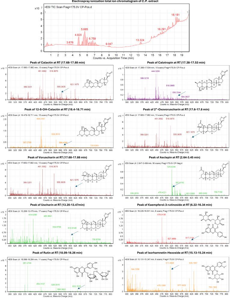 https://cdn.ncbi.nlm.nih.gov/pmc/blobs/5316/12374718/bcd3a0efc15b/IJN-20-10043-g0013.jpg