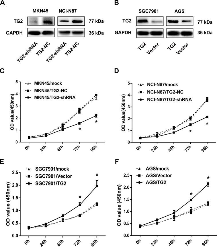 https://cdn.ncbi.nlm.nih.gov/pmc/blobs/5317/4872769/05ea9108378b/oncotarget-07-7066-g002.jpg