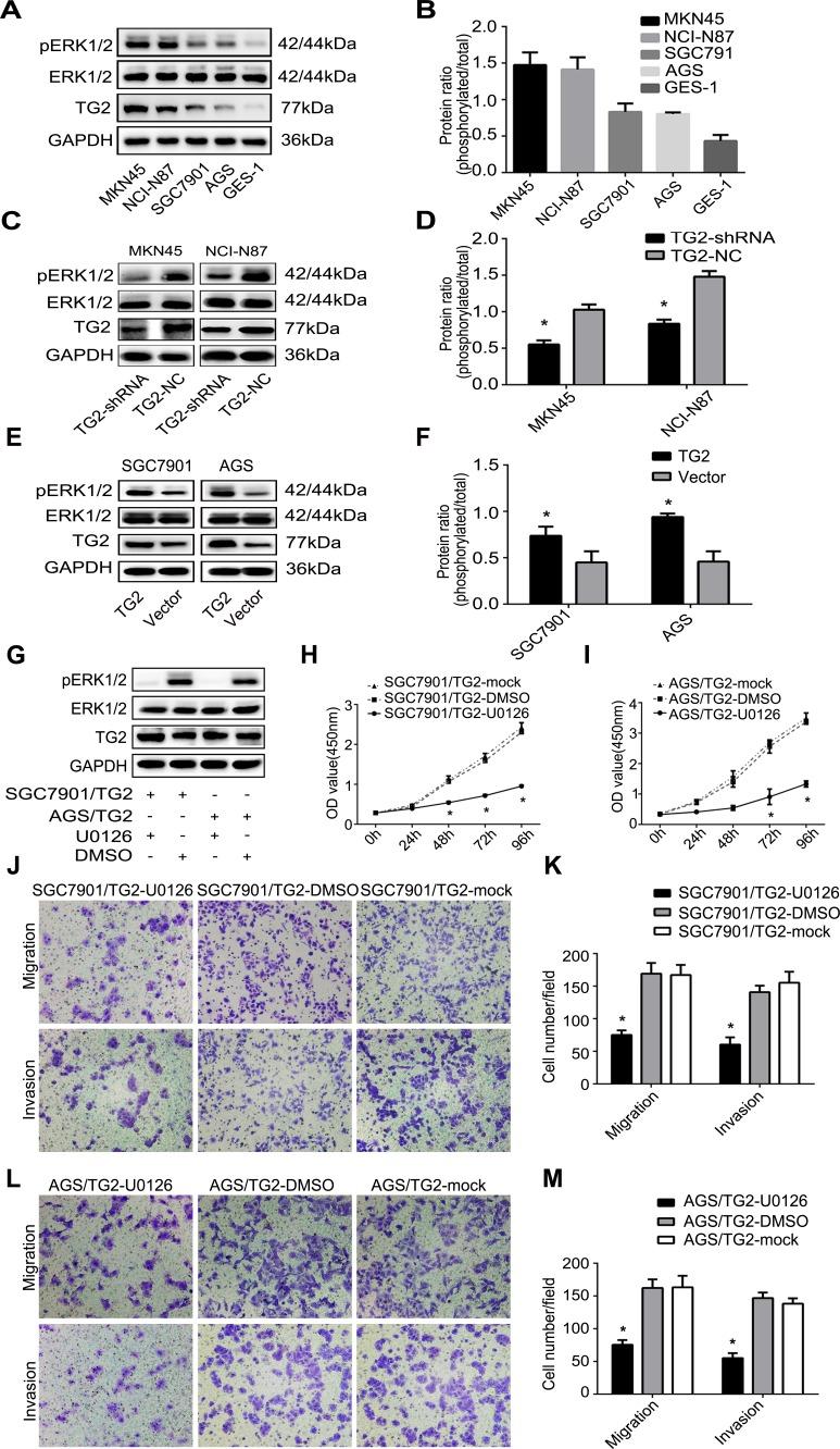 https://cdn.ncbi.nlm.nih.gov/pmc/blobs/5317/4872769/760091092a61/oncotarget-07-7066-g004.jpg