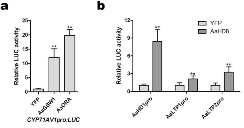 https://cdn.ncbi.nlm.nih.gov/pmc/blobs/5318/8520255/9868d6fc0d0d/13007_2021_807_Fig6_HTML.jpg