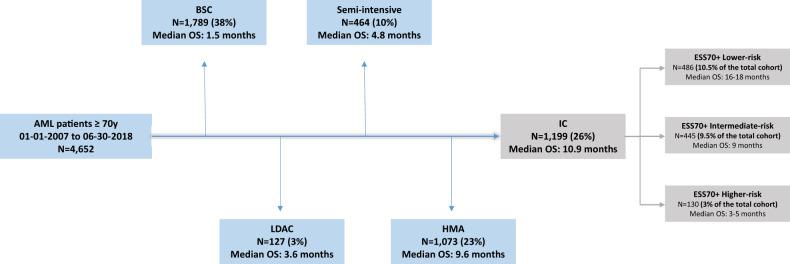 https://cdn.ncbi.nlm.nih.gov/pmc/blobs/5319/9276717/9101a8fc9f0f/41408_2022_700_Fig3_HTML.jpg