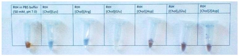 https://cdn.ncbi.nlm.nih.gov/pmc/blobs/531a/8003507/3fc2d20dcd09/molecules-26-01714-g002.jpg