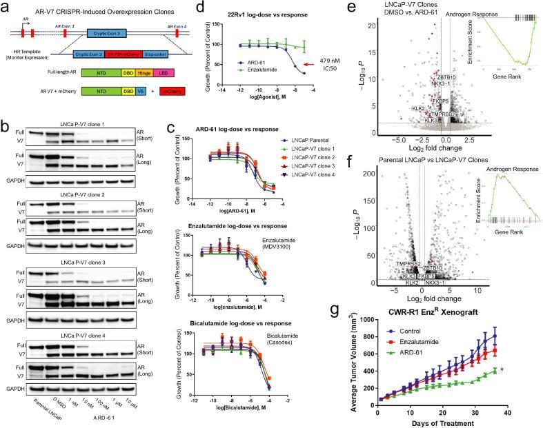 https://cdn.ncbi.nlm.nih.gov/pmc/blobs/531b/6957805/67d177a03c3c/gr4.jpg
