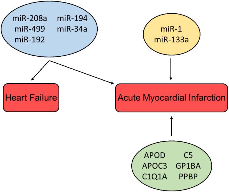 https://cdn.ncbi.nlm.nih.gov/pmc/blobs/531b/7916440/407fb50e5209/diagnostics-11-00269-g004.jpg