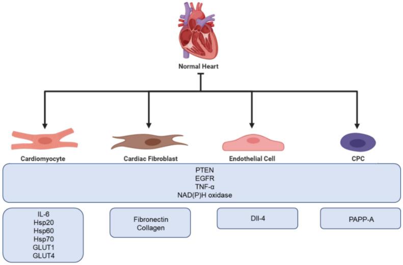 https://cdn.ncbi.nlm.nih.gov/pmc/blobs/531b/7916440/def95c3f5fe2/diagnostics-11-00269-g003.jpg