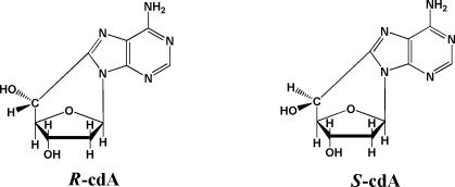 https://cdn.ncbi.nlm.nih.gov/pmc/blobs/531c/2817919/267f09b04aac/bi-2009-02161f_0005.jpg