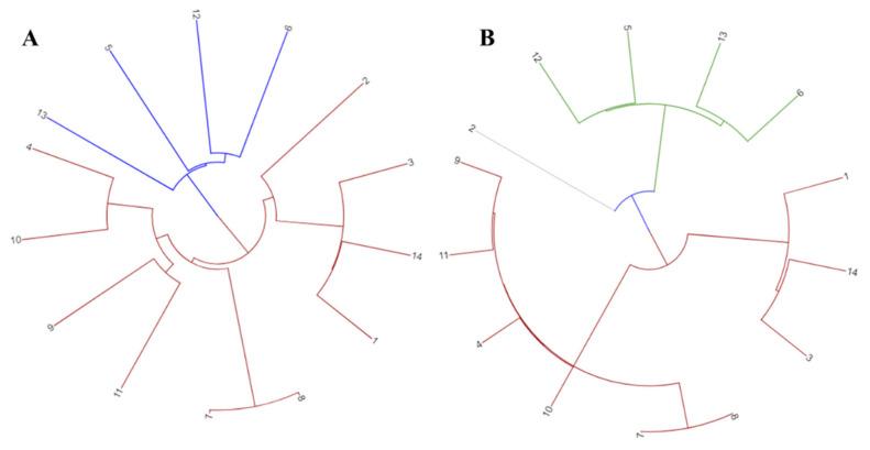 https://cdn.ncbi.nlm.nih.gov/pmc/blobs/531c/9777469/8b8ae1348d4d/cancers-14-06260-g002.jpg
