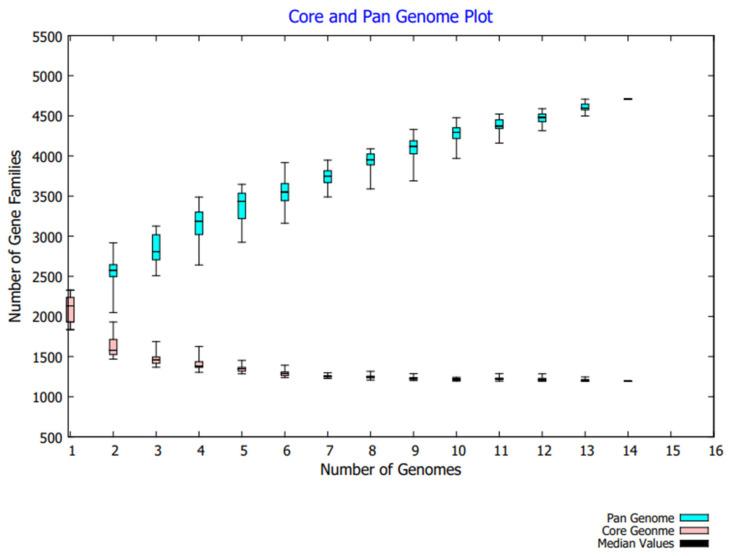https://cdn.ncbi.nlm.nih.gov/pmc/blobs/531c/9777469/9201226990ac/cancers-14-06260-g001.jpg