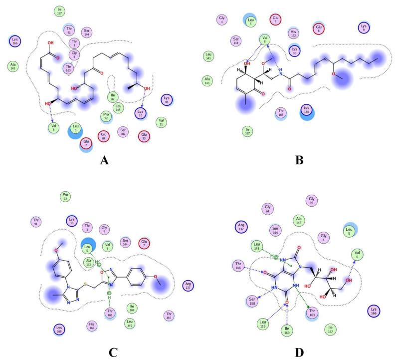 https://cdn.ncbi.nlm.nih.gov/pmc/blobs/531c/9777469/d58652ed07d5/cancers-14-06260-g005.jpg