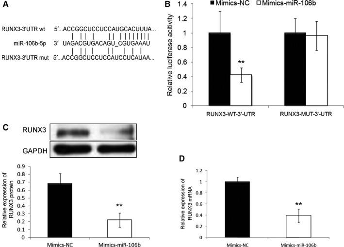 https://cdn.ncbi.nlm.nih.gov/pmc/blobs/531e/6825988/62cbafc2c50c/CAM4-8-6756-g005.jpg