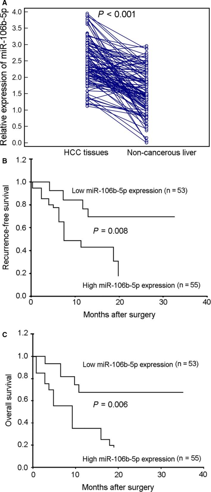 https://cdn.ncbi.nlm.nih.gov/pmc/blobs/531e/6825988/c321541362bb/CAM4-8-6756-g001.jpg