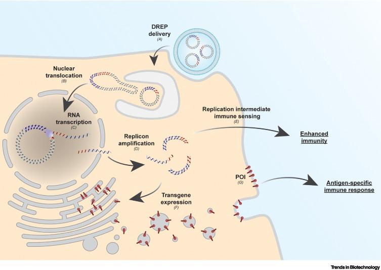 https://cdn.ncbi.nlm.nih.gov/pmc/blobs/531f/10266560/323879e3b5d0/gr3_lrg.jpg