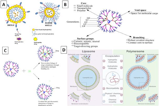 https://cdn.ncbi.nlm.nih.gov/pmc/blobs/531f/9019274/9a3f5dad4969/cdr-4-264.fig.3.jpg