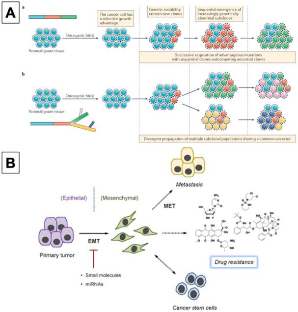 https://cdn.ncbi.nlm.nih.gov/pmc/blobs/531f/9019274/bcbdaede8b00/cdr-4-264.fig.1.jpg