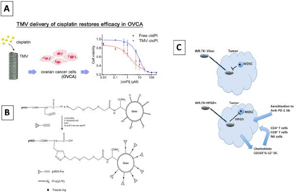 https://cdn.ncbi.nlm.nih.gov/pmc/blobs/531f/9019274/fab1afc1049e/cdr-4-264.fig.4.jpg