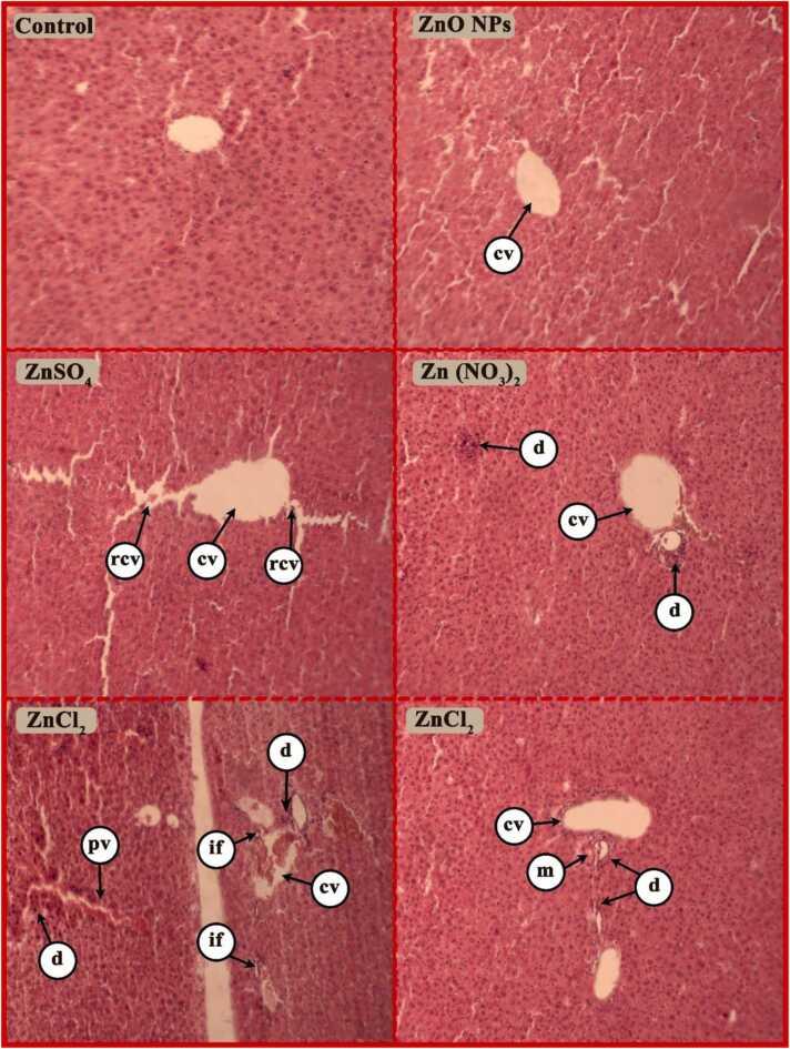 https://cdn.ncbi.nlm.nih.gov/pmc/blobs/5320/11976247/6fed379cd97b/gr8.jpg