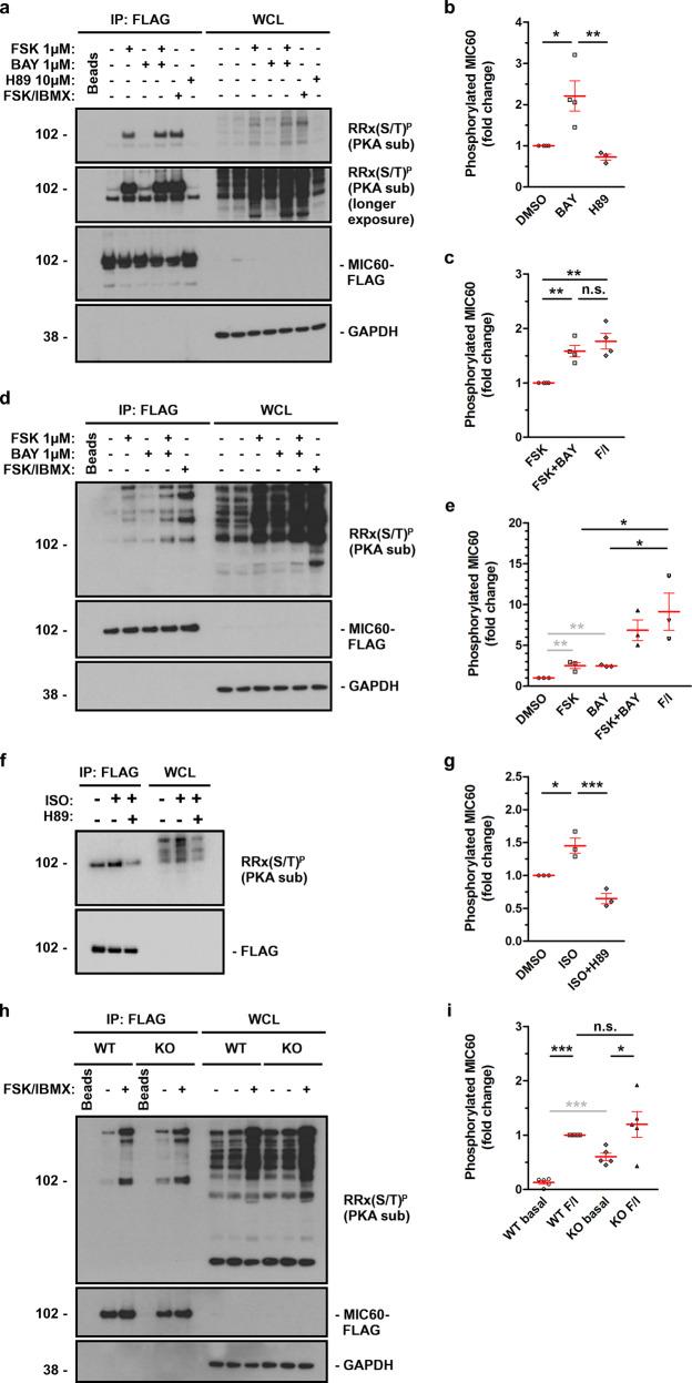 https://cdn.ncbi.nlm.nih.gov/pmc/blobs/5321/7578833/1838deeb9d74/42003_2020_1311_Fig3_HTML.jpg