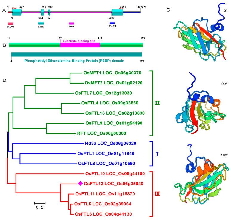 https://cdn.ncbi.nlm.nih.gov/pmc/blobs/5325/10855395/a29c5b1b75e9/ijms-25-01449-g001.jpg