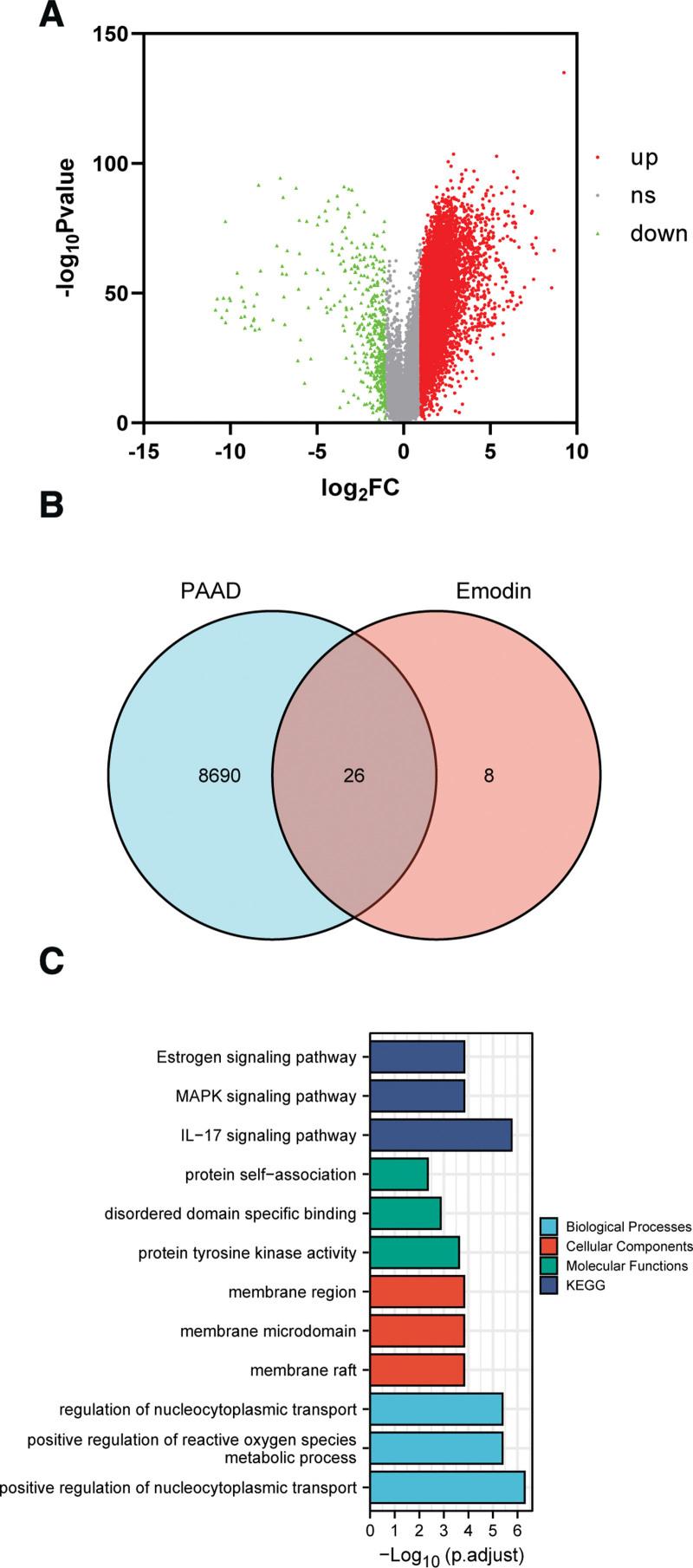 https://cdn.ncbi.nlm.nih.gov/pmc/blobs/5328/10194452/075f6f82628e/medi-102-e33521-g001.jpg
