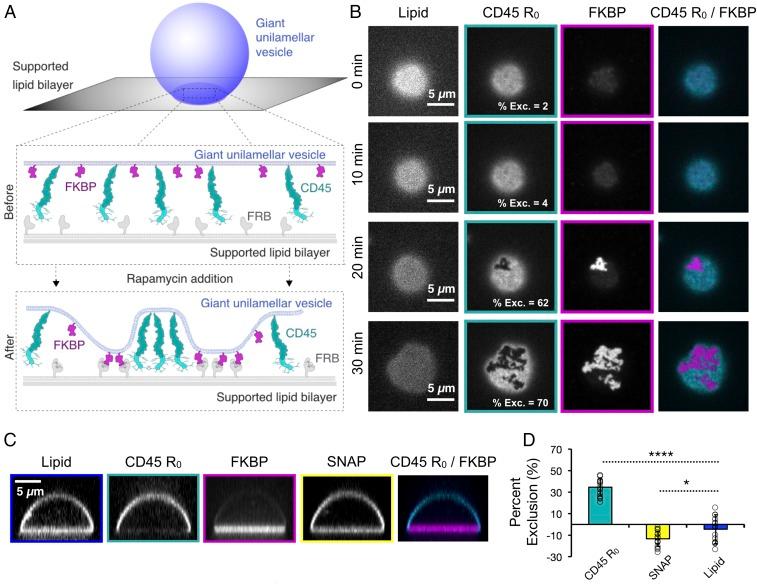 https://cdn.ncbi.nlm.nih.gov/pmc/blobs/5328/5676914/11608db8cb4b/pnas.1710358114fig01.jpg