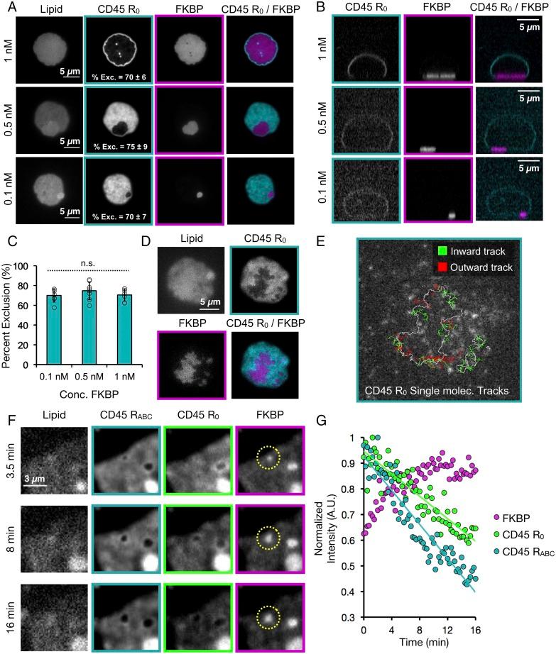 https://cdn.ncbi.nlm.nih.gov/pmc/blobs/5328/5676914/5c705994ff84/pnas.1710358114fig02.jpg