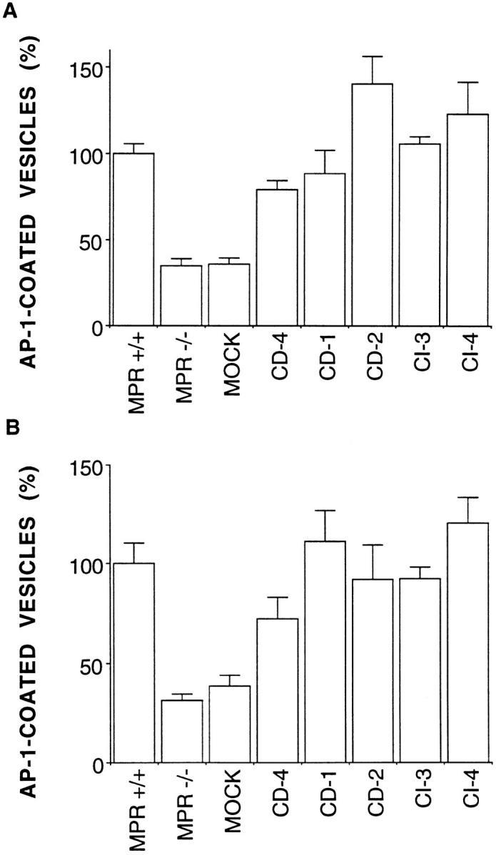 https://cdn.ncbi.nlm.nih.gov/pmc/blobs/5329/2139777/c041d23b73fd/JCB.laborgne7.jpg