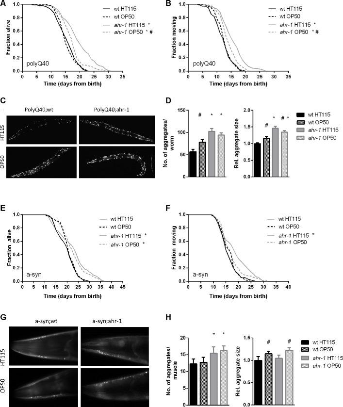 https://cdn.ncbi.nlm.nih.gov/pmc/blobs/5329/7835051/15d788429dae/aging-13-202316-g003.jpg