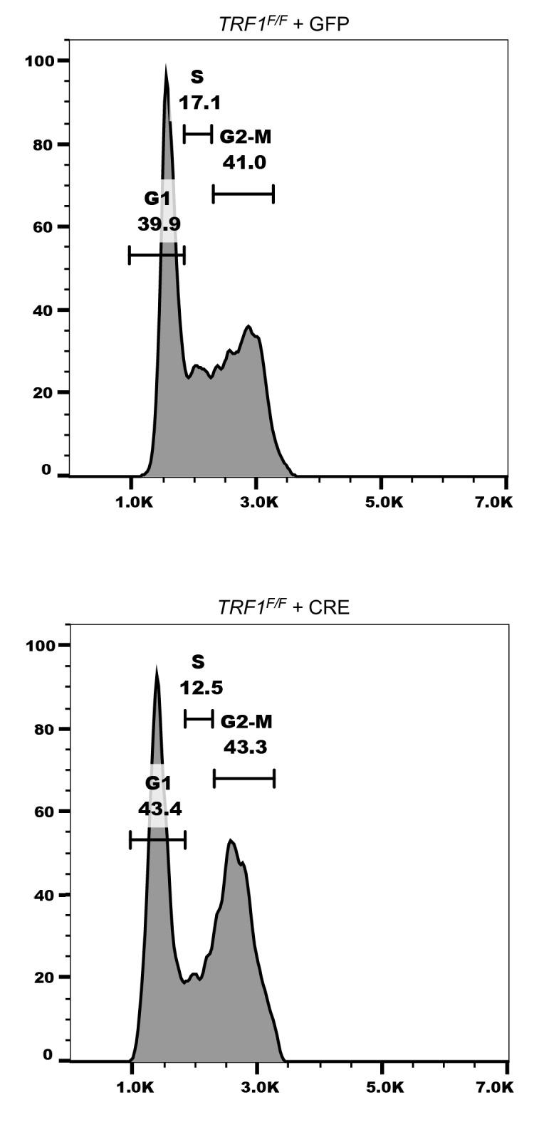 https://cdn.ncbi.nlm.nih.gov/pmc/blobs/532d/6986873/2cad60efef29/elife-49817-fig1-figsupp1.jpg