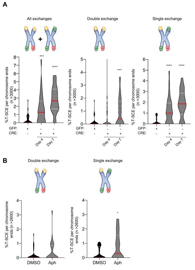https://cdn.ncbi.nlm.nih.gov/pmc/blobs/532d/6986873/31e4a77934a1/elife-49817-fig2-figsupp2.jpg