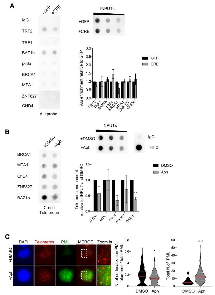 https://cdn.ncbi.nlm.nih.gov/pmc/blobs/532d/6986873/9a707d8c8297/elife-49817-fig2-figsupp1.jpg