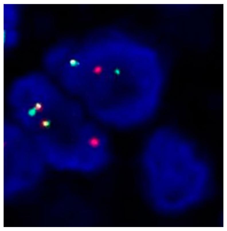 https://cdn.ncbi.nlm.nih.gov/pmc/blobs/532f/11171607/b7dda1a9bc7a/ijms-25-05698-g001.jpg