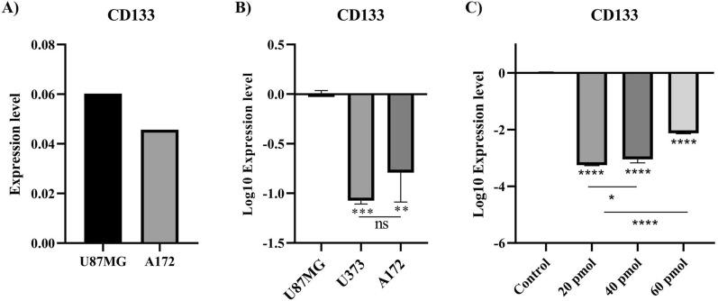 https://cdn.ncbi.nlm.nih.gov/pmc/blobs/5330/10918901/6854972b681c/40001_2024_1754_Fig2_HTML.jpg